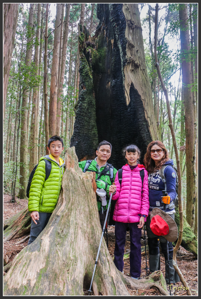 IMG_3454.jpg - 20160227 觀霧森林步道