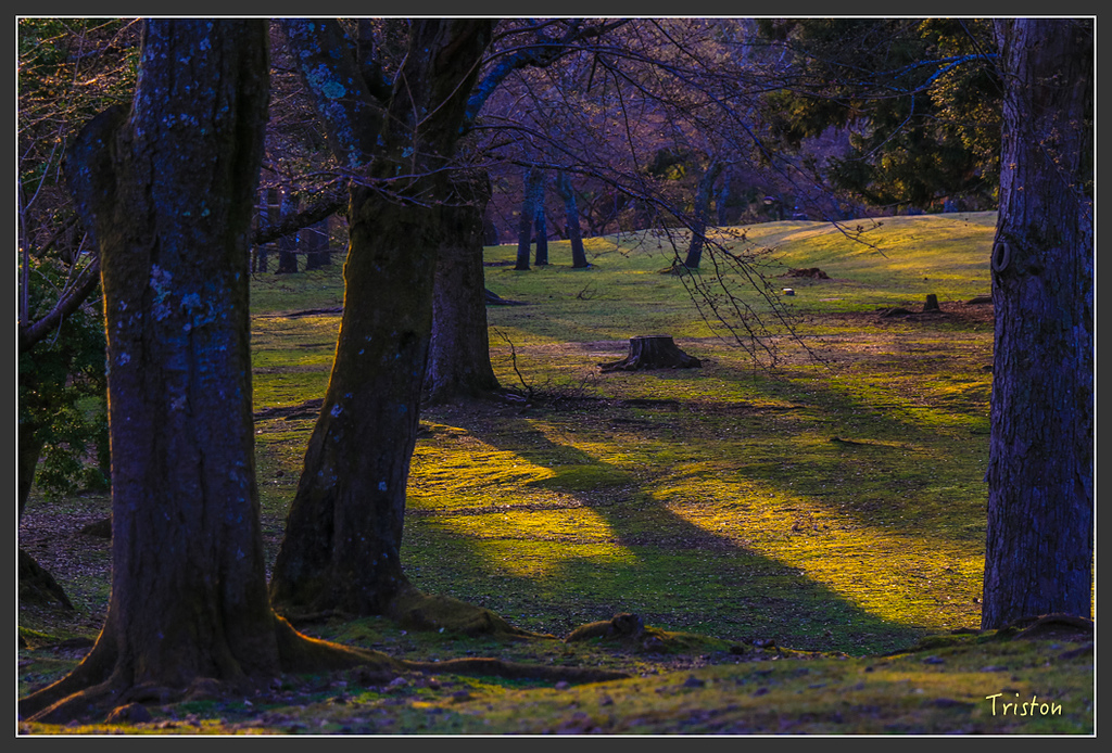 IMG_4213.jpg - 20160323 日本熊野古道健行