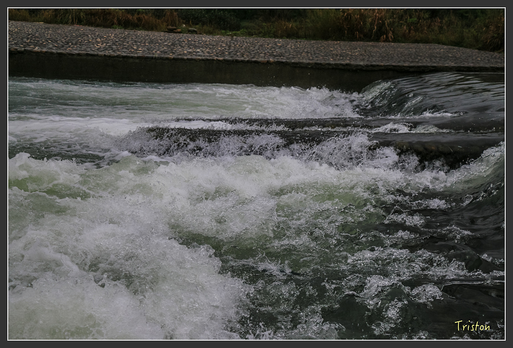 IMG_6742.jpg - 20160409 武夷山之旅