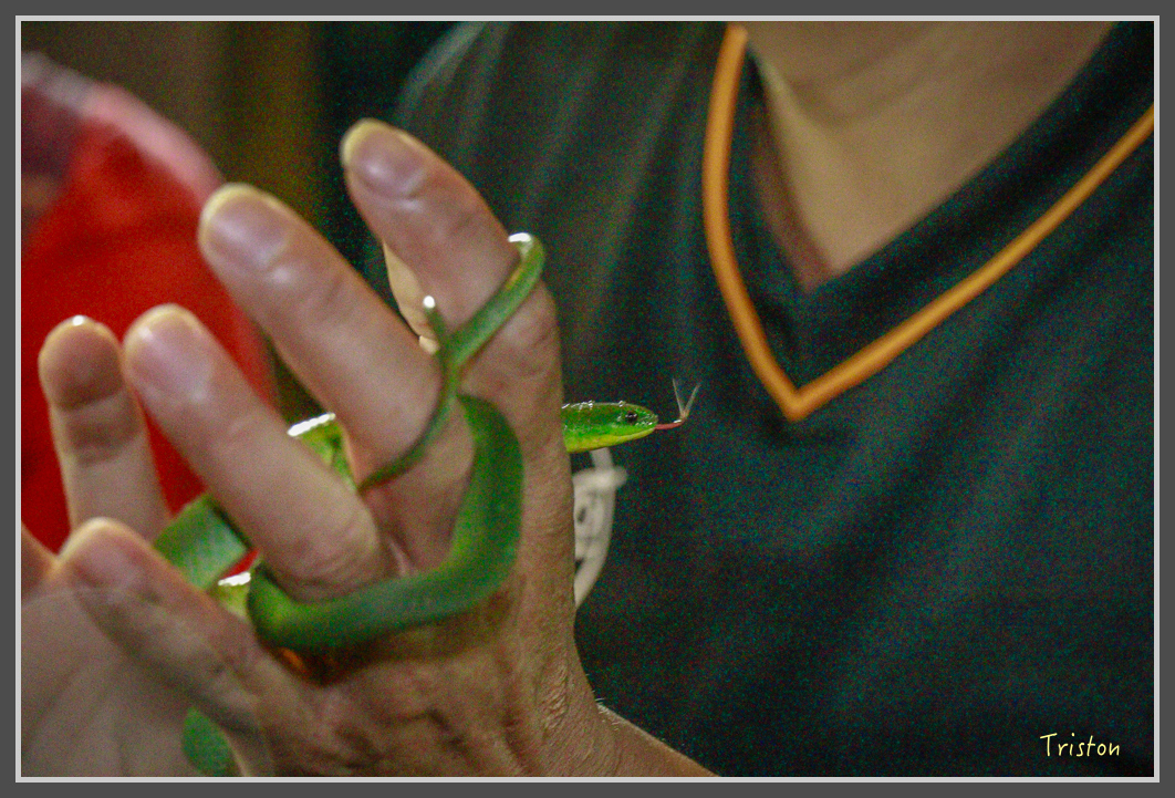 _MG_9244.jpg - 20160717 峰老師夜觀