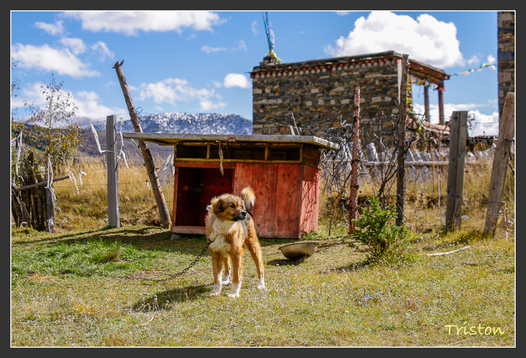 _MG_1264.jpg - 20161013 稻城亞丁