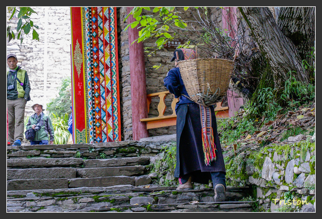 _MG_0370.jpg - 20161013 稻城亞丁