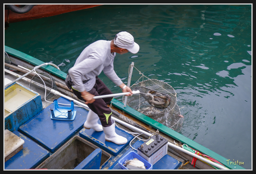 00256.jpg - 20170107 香港健行