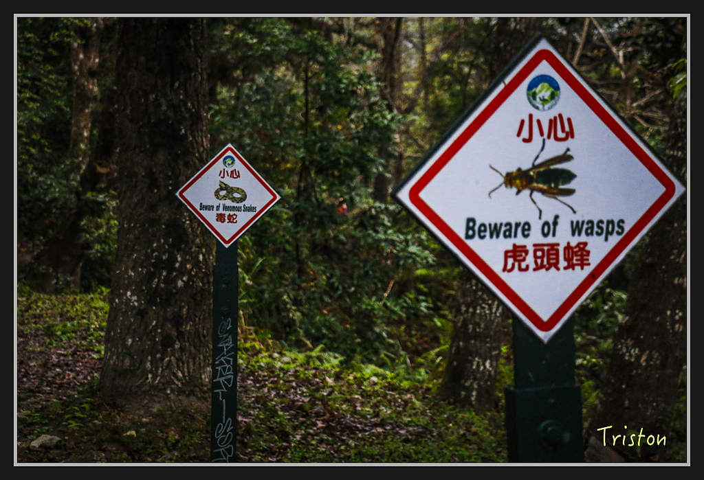 2017-02-27 10.03.53 下午 _MG_0166.jpg - 20170225 玉里瓦拉米