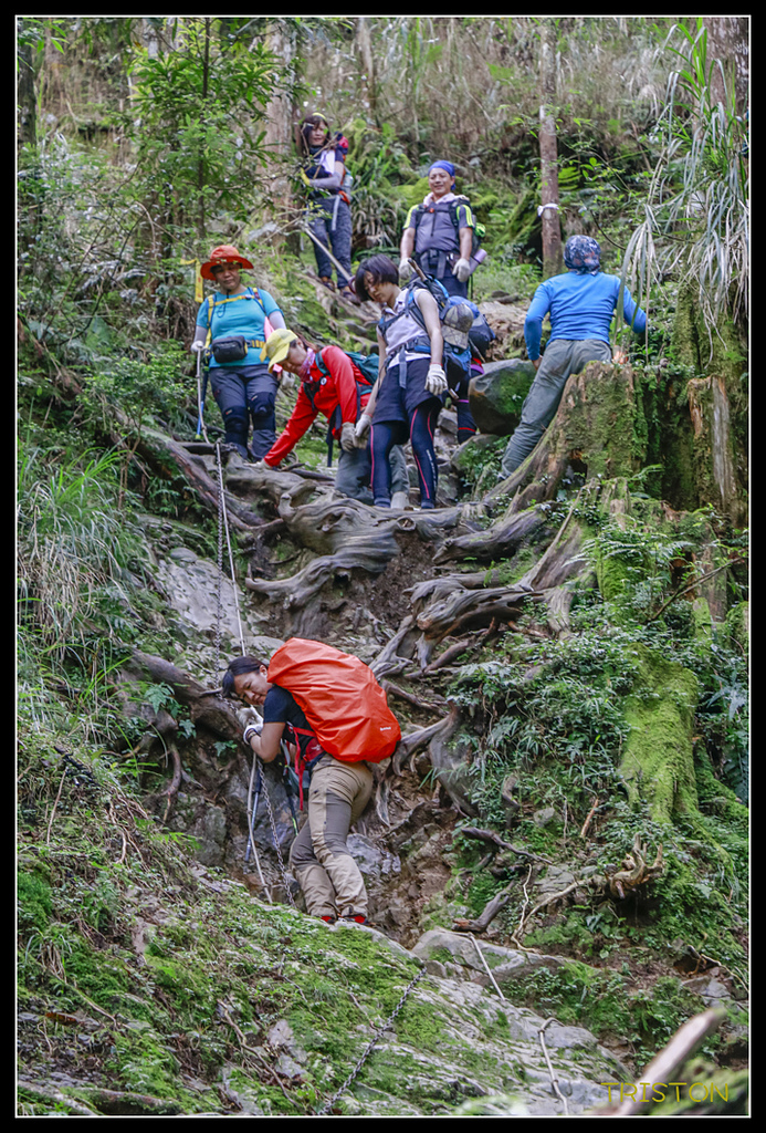 _MG_0386.jpg - 20170723 水漾森林