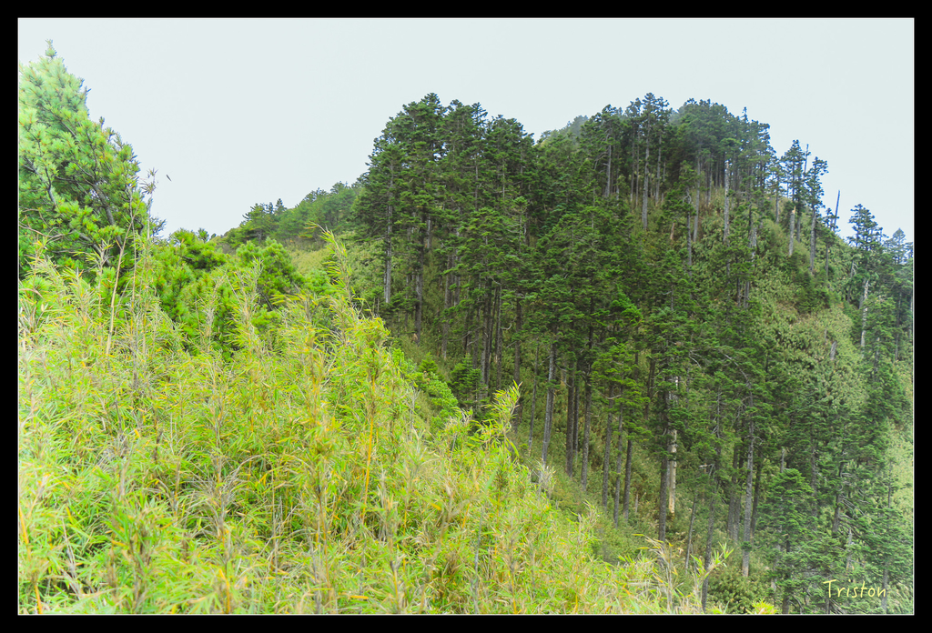 IMG_8754.jpg - 20151017 郡大林道、望鄉山、郡大山