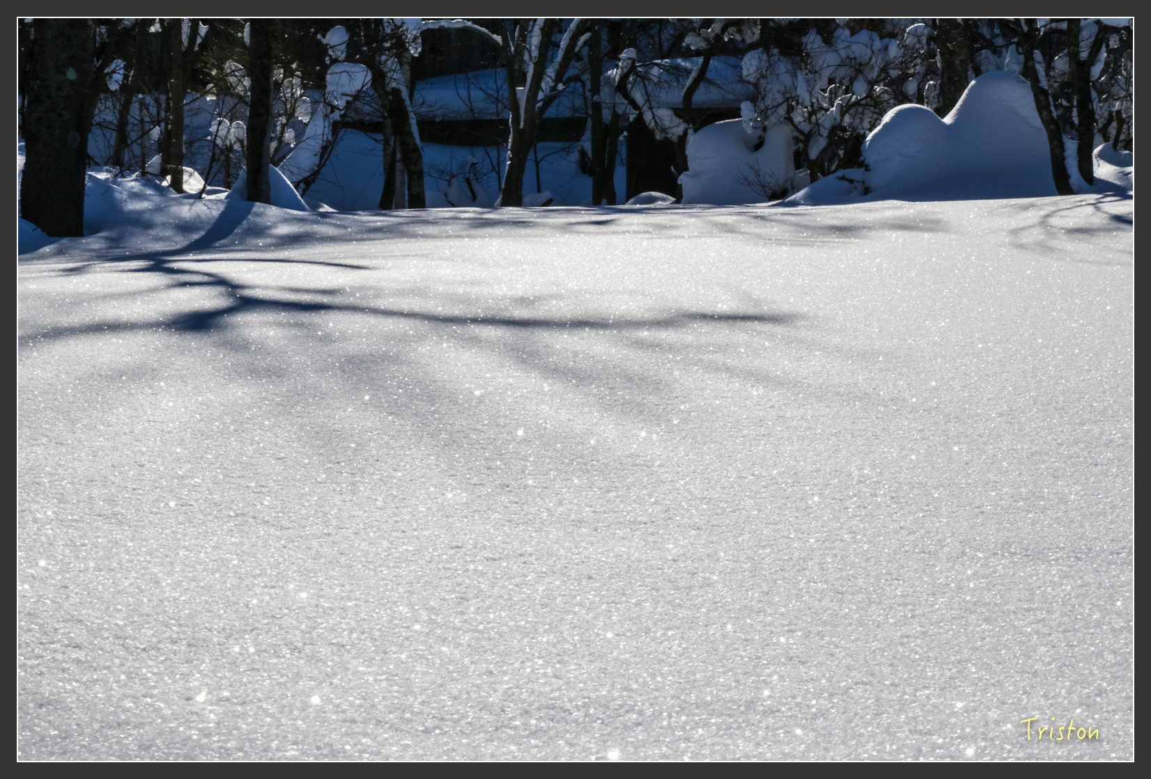 2016ZAO-01494.jpg - 20160131 日本藏王溫泉滑雪親子行