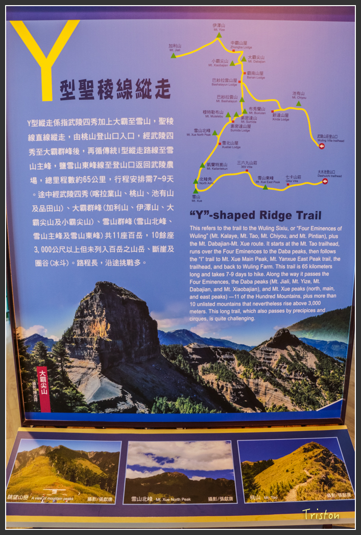 IMG_3243.jpg - 20160227 觀霧森林步道