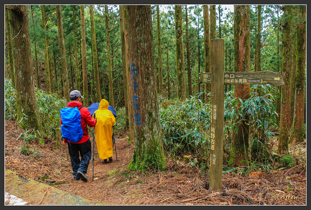 IMG_5520.jpg - 20160323 日本熊野古道健行