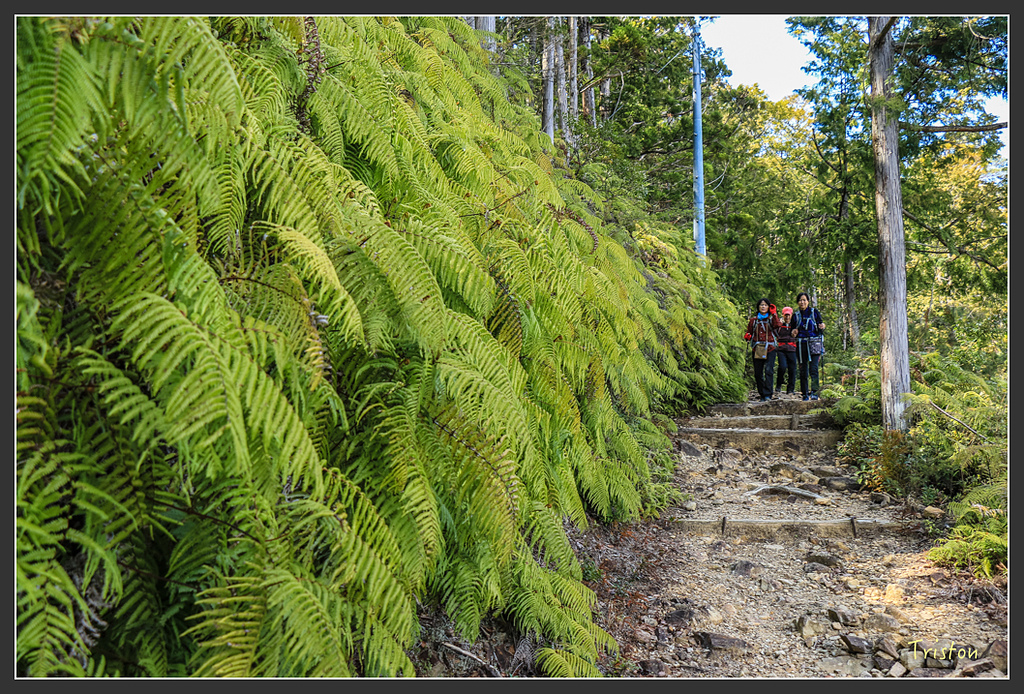 IMG_5171.jpg - 20160323 日本熊野古道健行