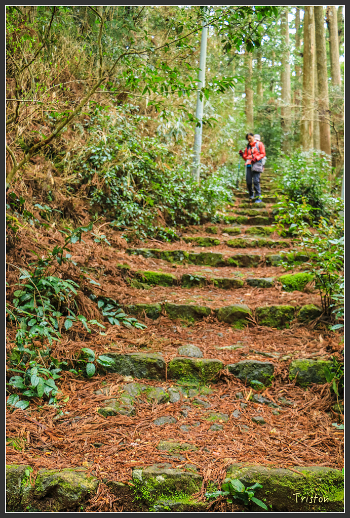 IMG_5611.jpg - 20160323 日本熊野古道健行