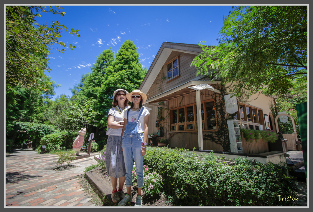 _MG_8847.jpg - 20160712 苗栗薰衣草森林