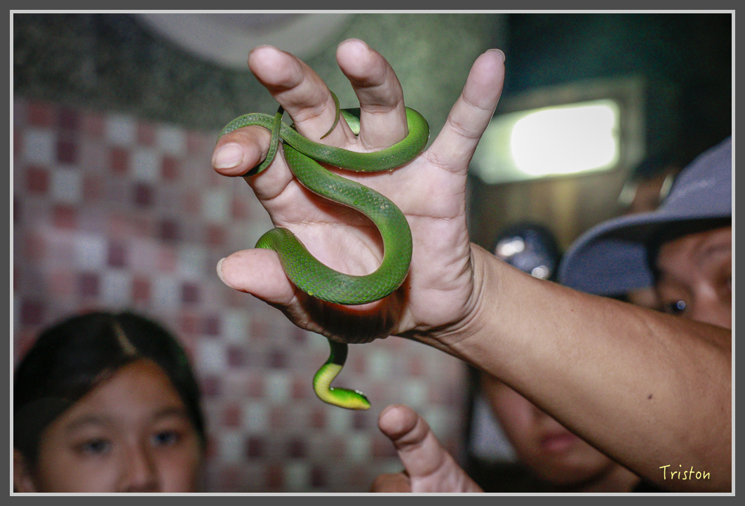 _MG_9252.jpg - 20160717 峰老師夜觀