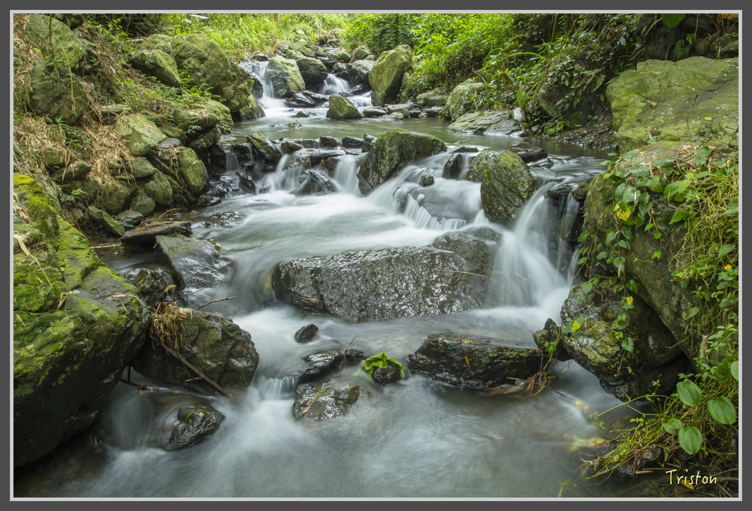 JH1A1934.jpg - 20160725 大津瀑布