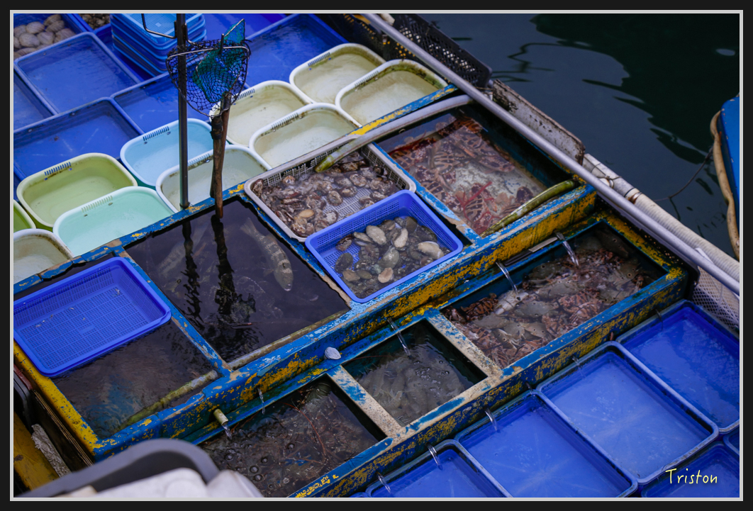 00258.jpg - 20170107 香港健行