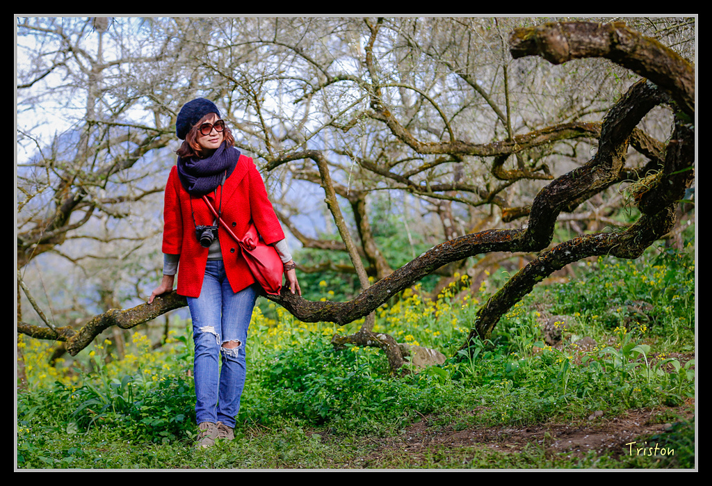 _H1A1488.jpg - 20170117 烏松崙、竹青庭