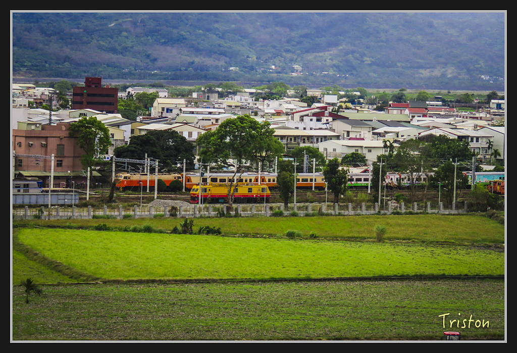 2017-02-27 10.04.56 下午 IMG_1206.jpg - 20170225 玉里瓦拉米