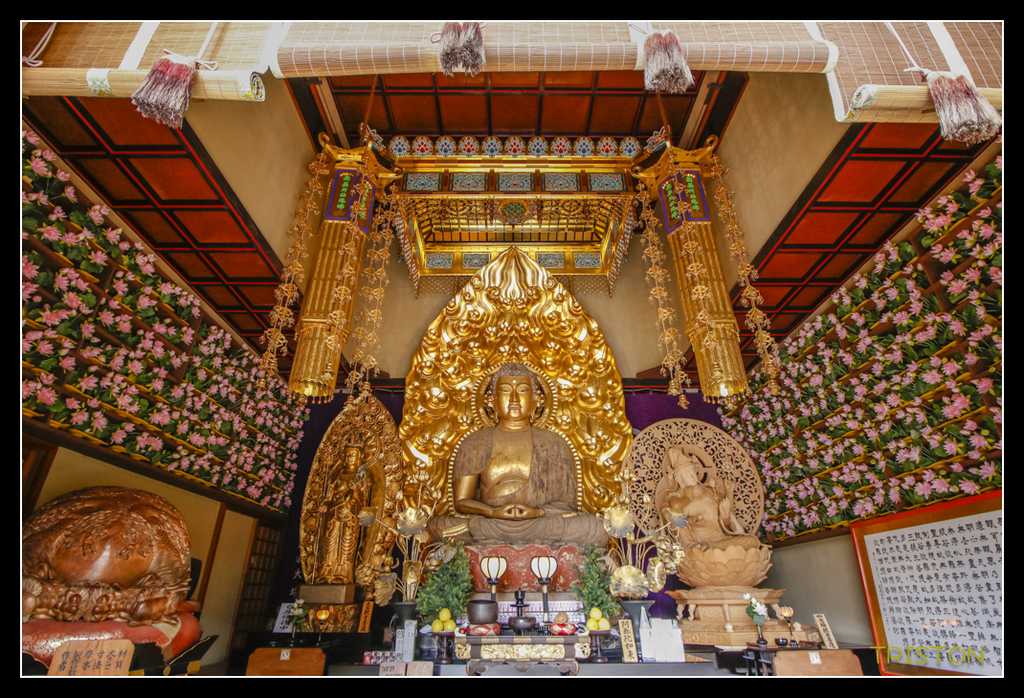 _MG_1460.jpg - 20170702 靜岡東海道之旅