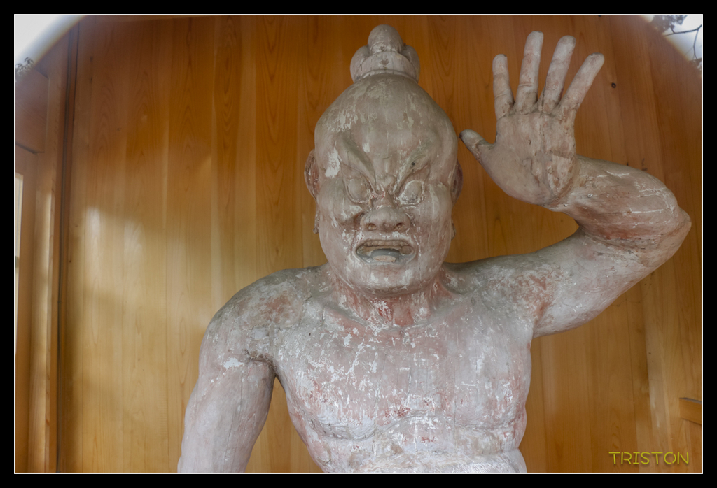 _MG_1157.jpg - 20170702 靜岡東海道之旅