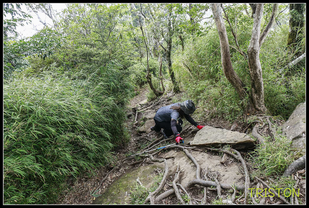 _MG_0129.jpg - 20170920 加里山