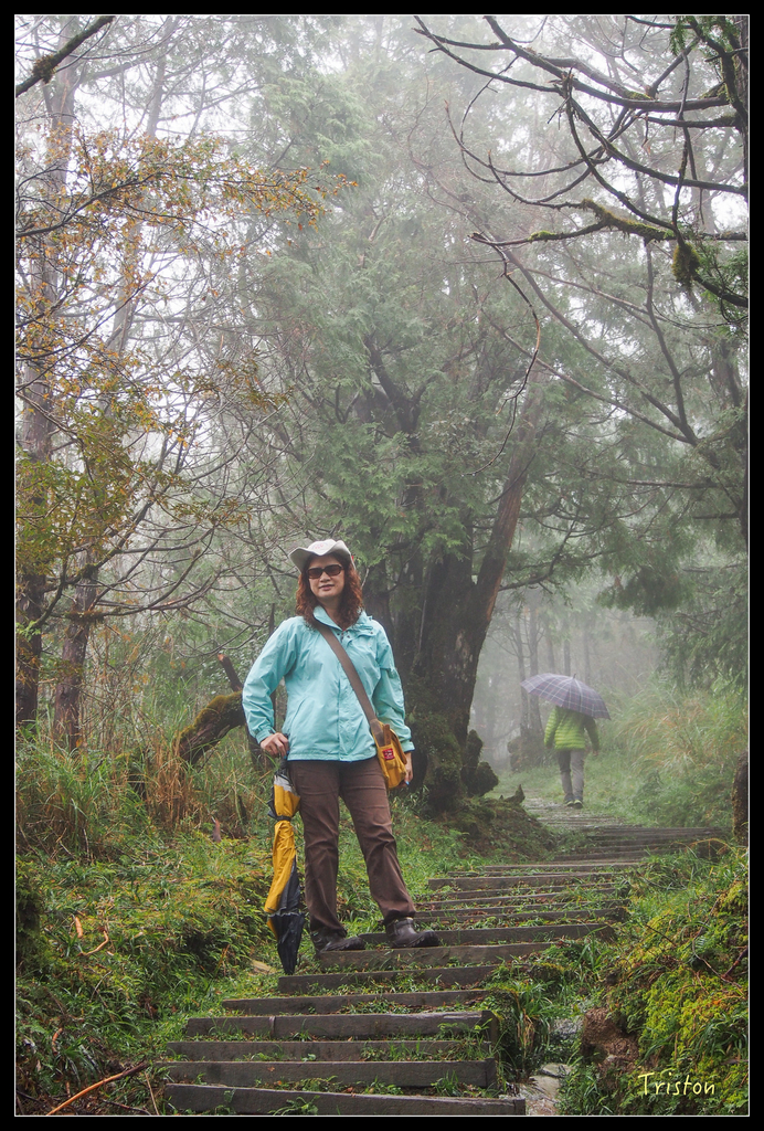 PA240155.jpg - 20151024~25 幾米公園、翠峰湖、翠峰山屋、望洋山步道、山毛櫸步道