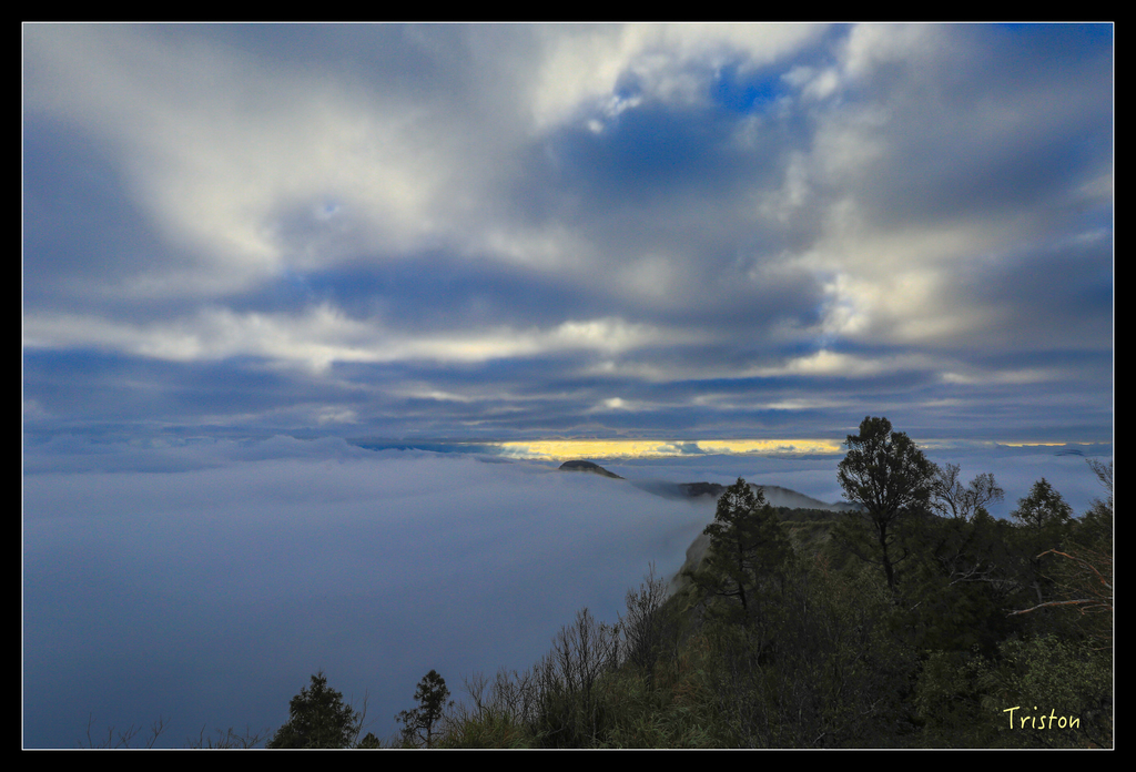 JH1A0070.jpg - 20151024~25 幾米公園、翠峰湖、翠峰山屋、望洋山步道、山毛櫸步道