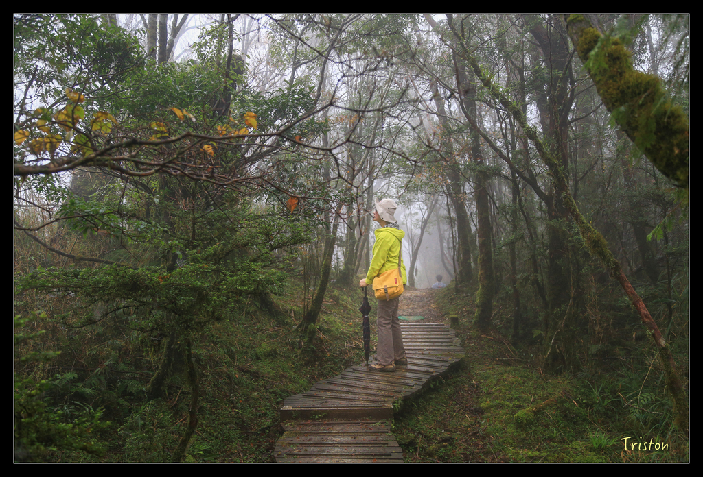JH1A0181.jpg - 20151024~25 幾米公園、翠峰湖、翠峰山屋、望洋山步道、山毛櫸步道