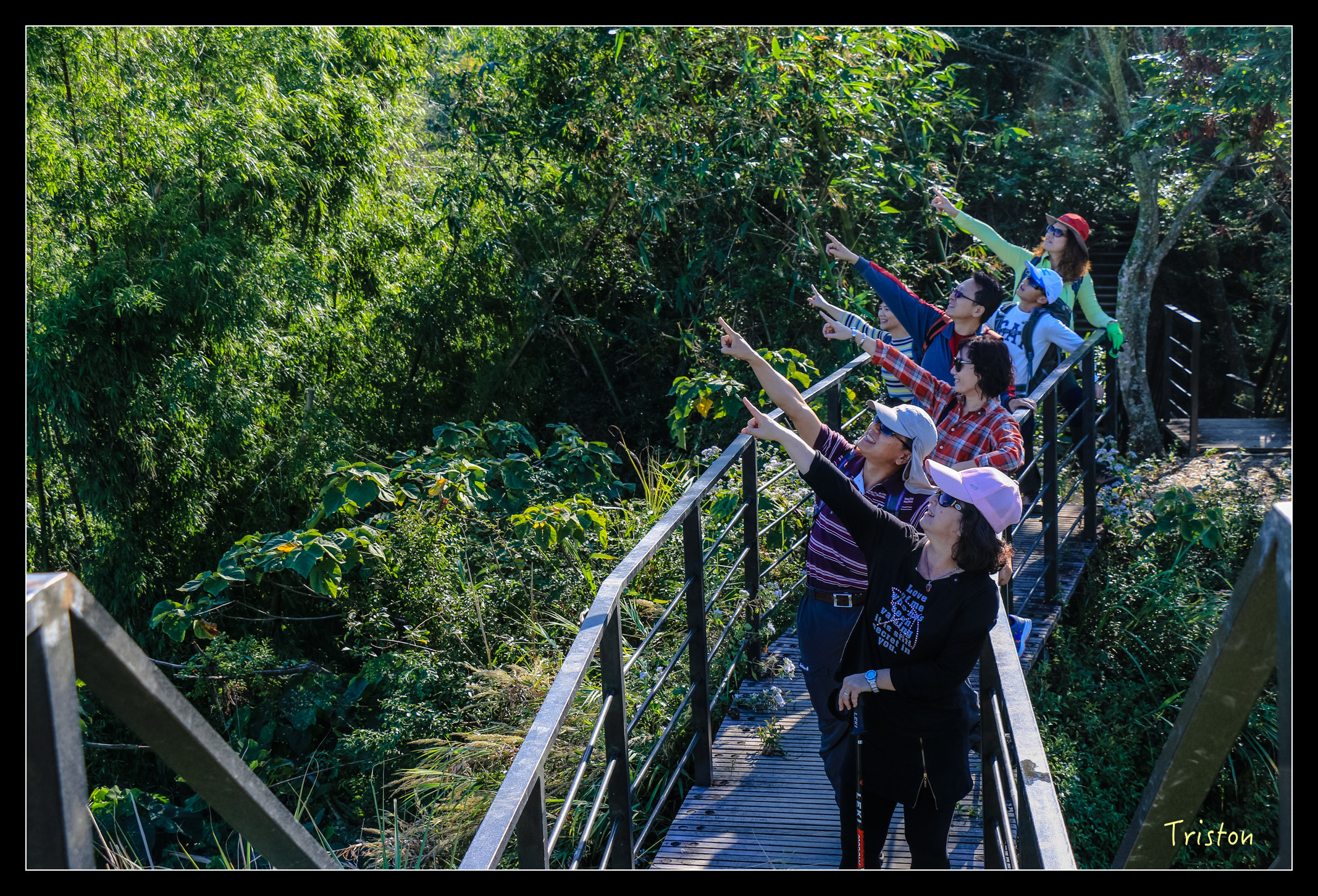 IMG_0299.jpg - 20151214 林內龍過脈步道