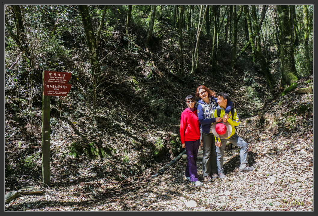 IMG_3408.jpg - 20160227 觀霧森林步道