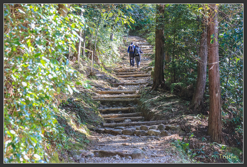 IMG_4839.jpg - 20160323 日本熊野古道健行