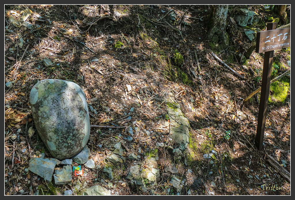 IMG_4759.jpg - 20160323 日本熊野古道健行