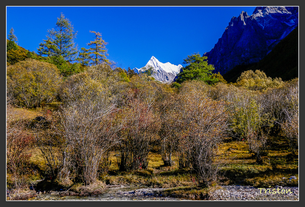 _MG_1951.jpg - 20161013 稻城亞丁