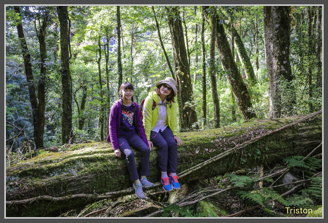 JH1A0531.jpg - 20161105 大雪山