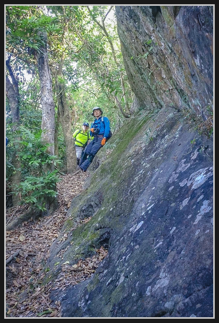 15608491_627379197468636_928408341_o.jpg - 201161217 旗靈縱走