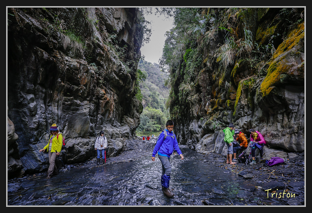 _H1A1918.jpg - 20170212 武界 萬大電廠 奧萬大