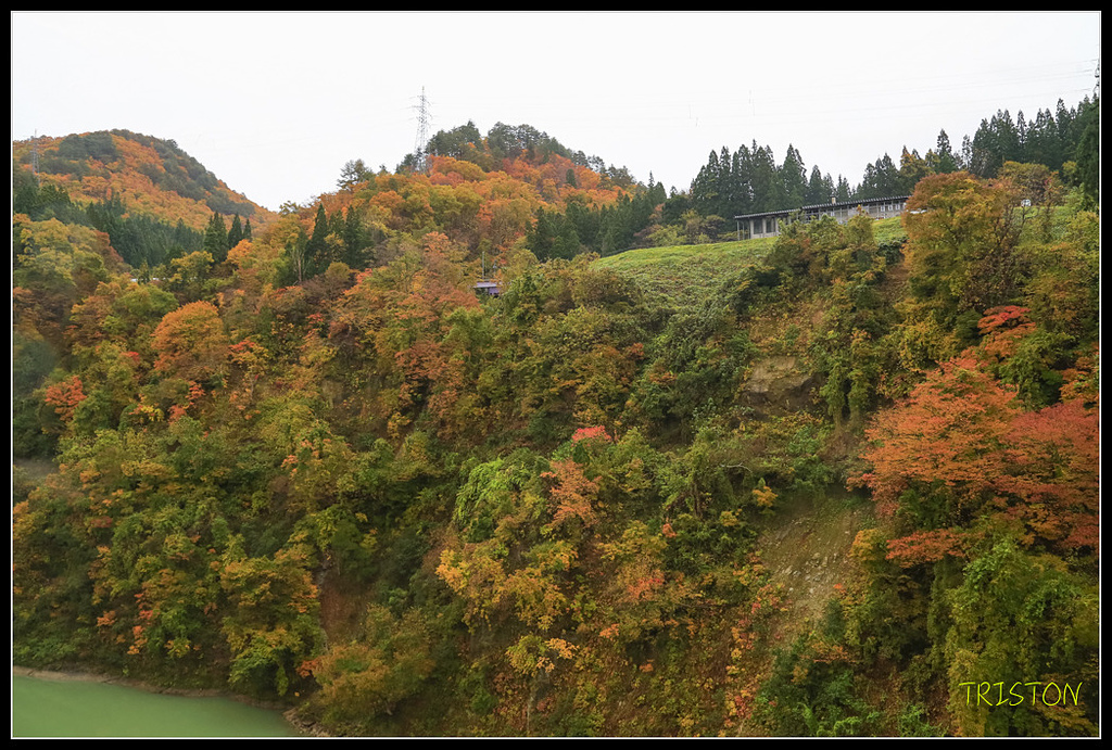 _H1A0398.jpg - 20171103 日本只見線、會津若松五色沼、昭和記念公園賞紅葉