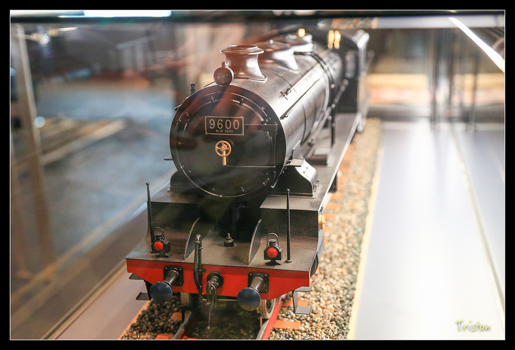 JH1A0298.jpg - 20150628 東京輕井澤日光