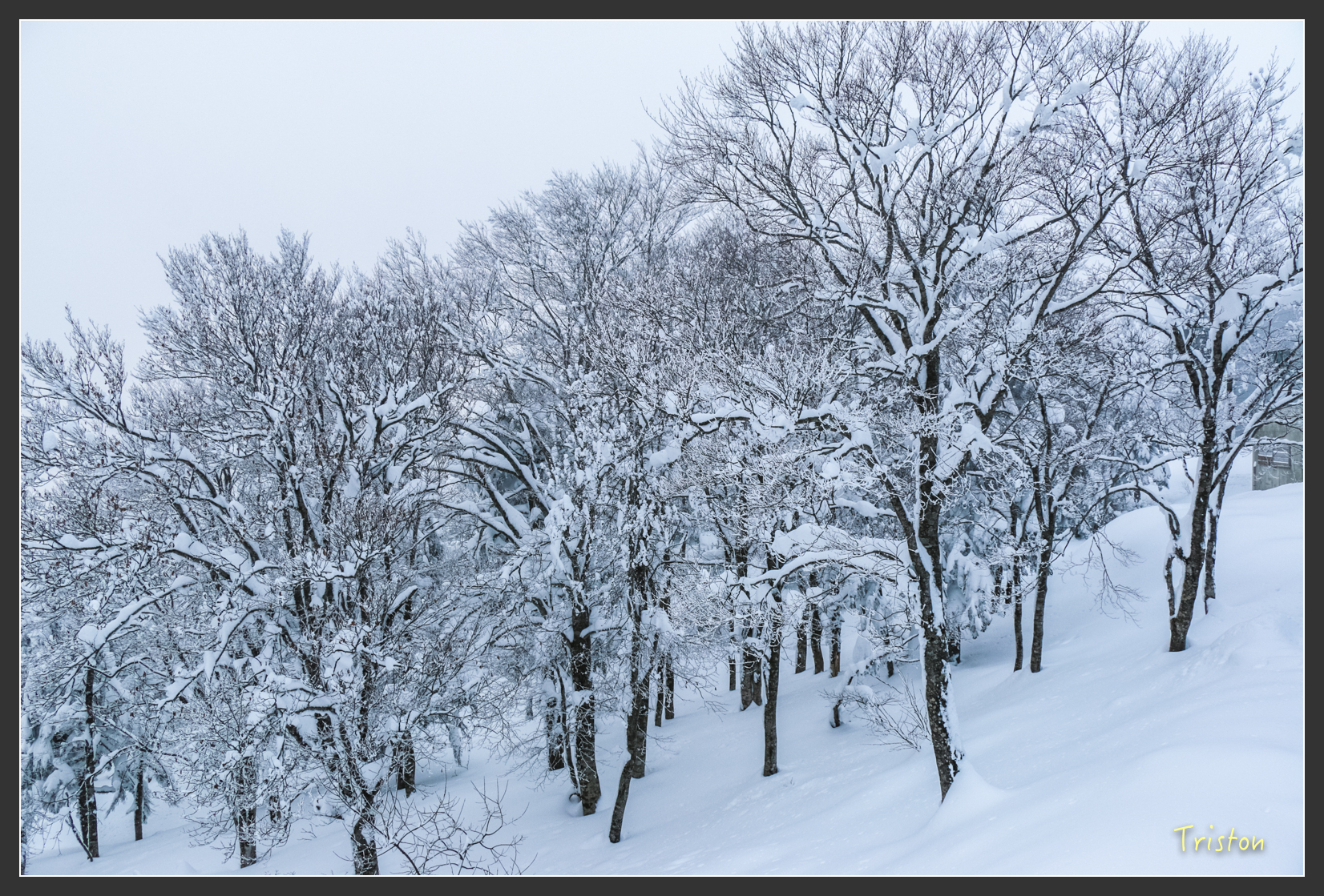 2016ZAO-00864.jpg - 20160131 日本藏王溫泉滑雪親子行