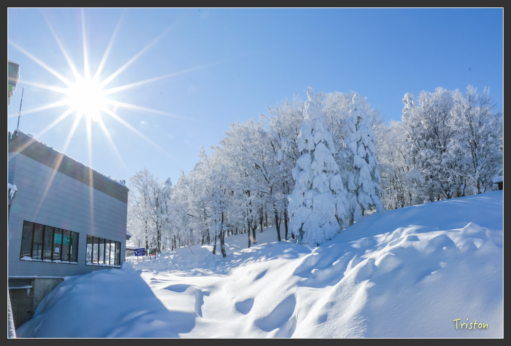 2016ZAO-01529.jpg - 20160131 日本藏王溫泉滑雪親子行