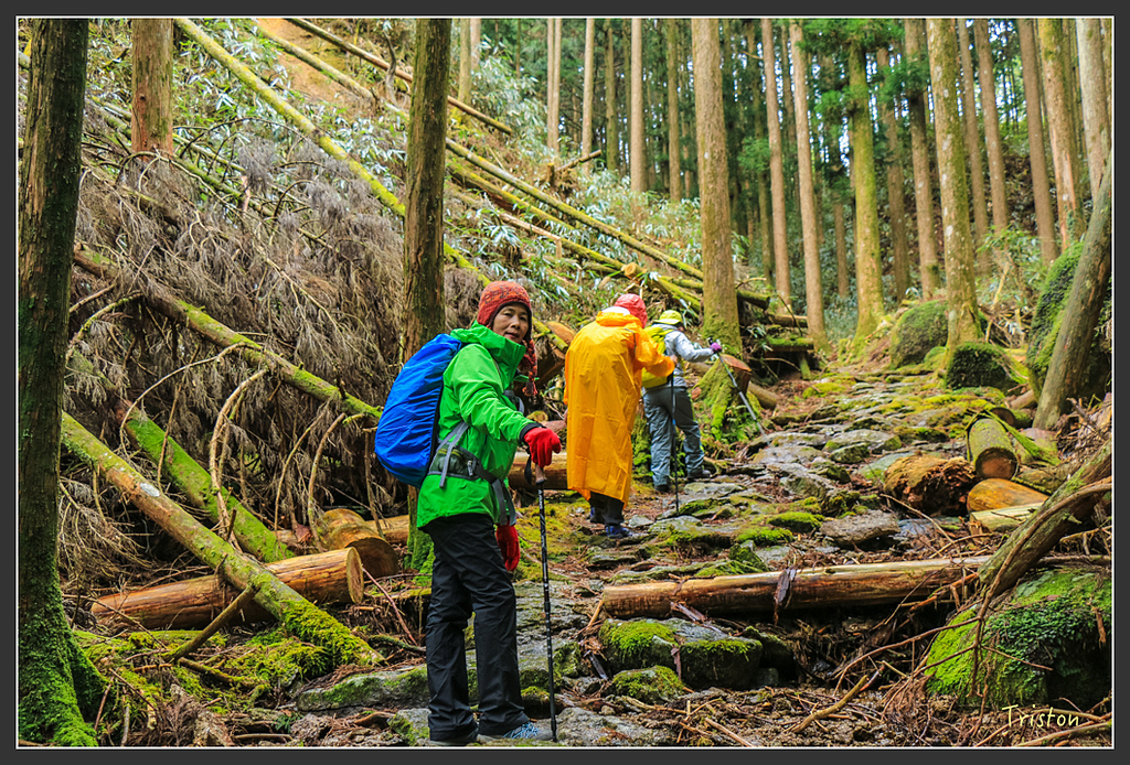 IMG_5534.jpg - 20160323 日本熊野古道健行