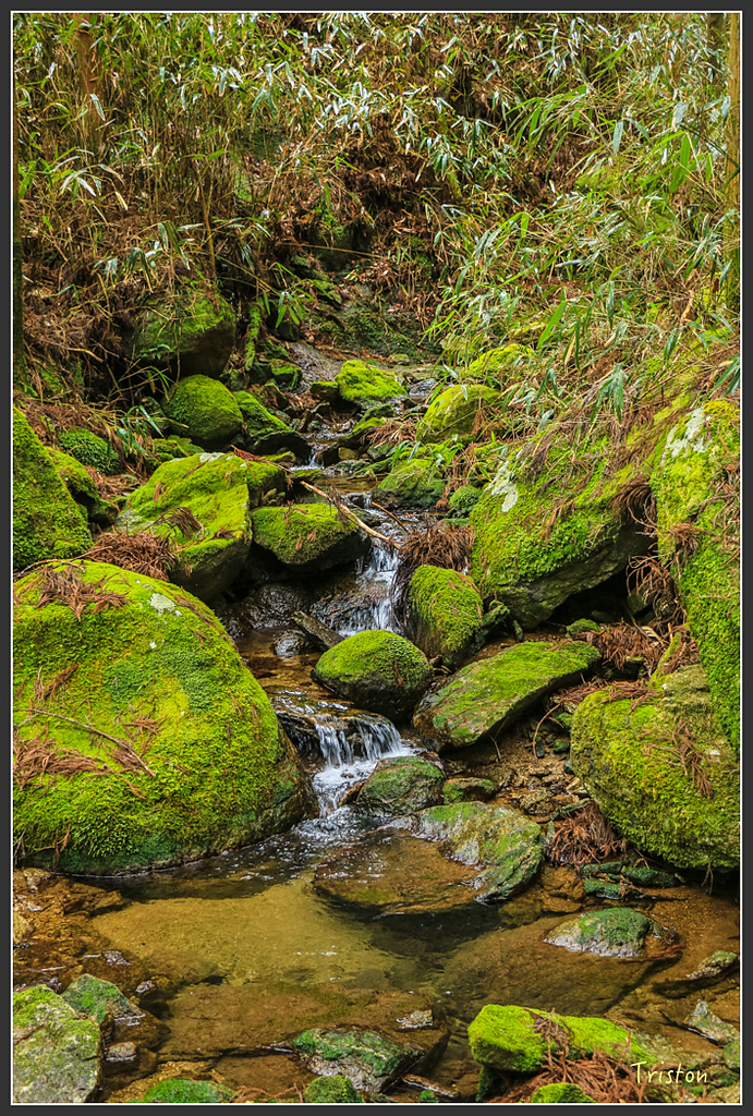 IMG_5529.jpg - 20160323 日本熊野古道健行