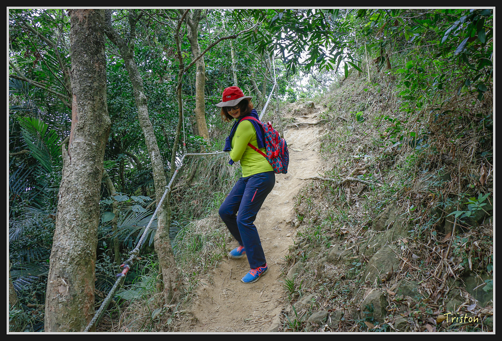 _MG_0627.jpg - 20170114 旗尾山