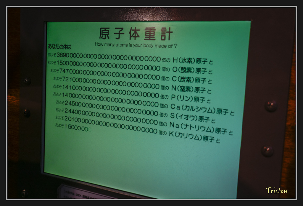 Canon-499.jpg - 20170120 大阪神戶親子遊 