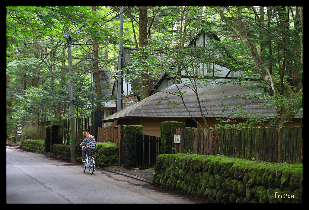 JH1A9341.jpg - 20150628 東京輕井澤日光