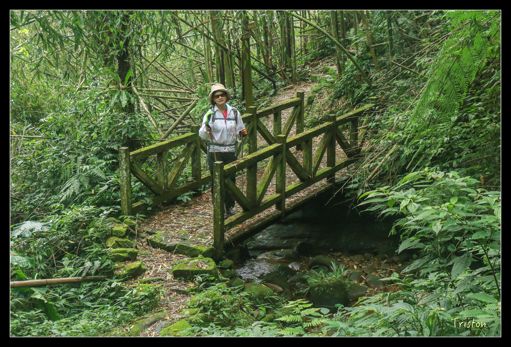 IMG_8480.jpg - 20151012 水社寮,四天王山