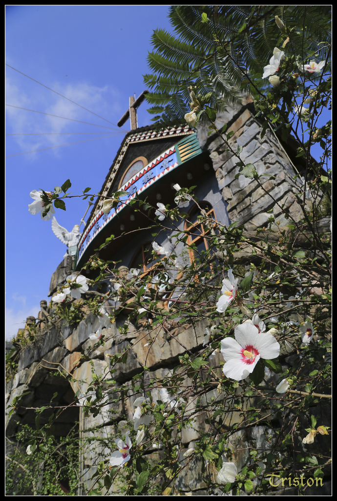 jh1a0084_15767021232_o.jpg - 20141111 屏東霧台 神山 一日來往輕旅行