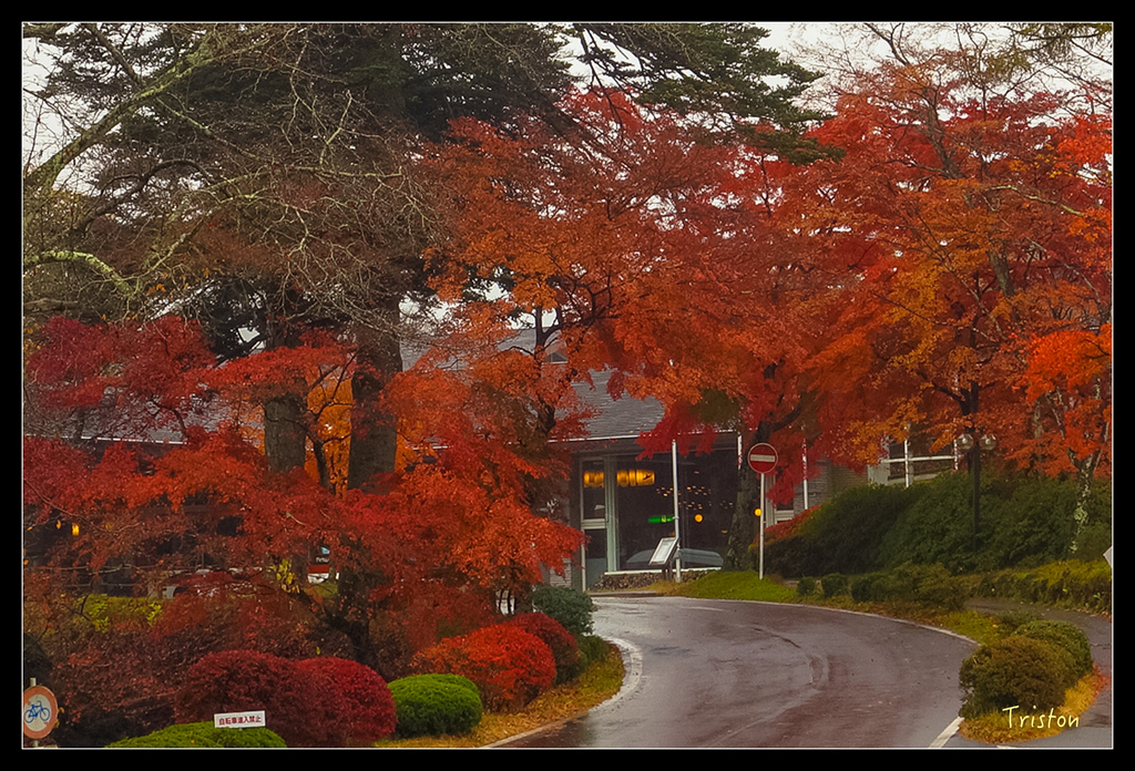 DSC00243.jpg - 20151031 秋天的童話-貴婦東京輕井澤紀行