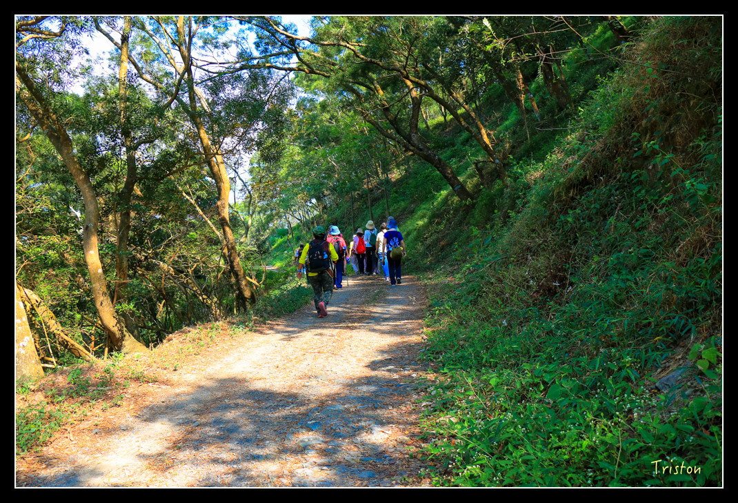 IMG_9482.jpg - 20151202 老七佳部落