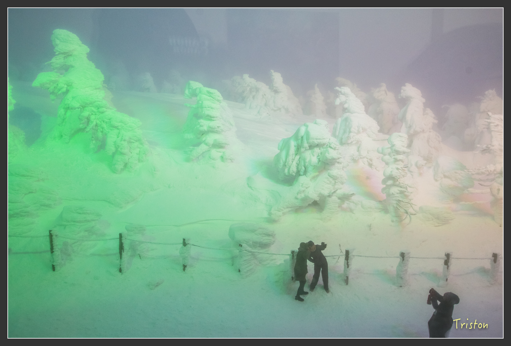 2016ZAO-00903.jpg - 20160131 日本藏王溫泉滑雪親子行