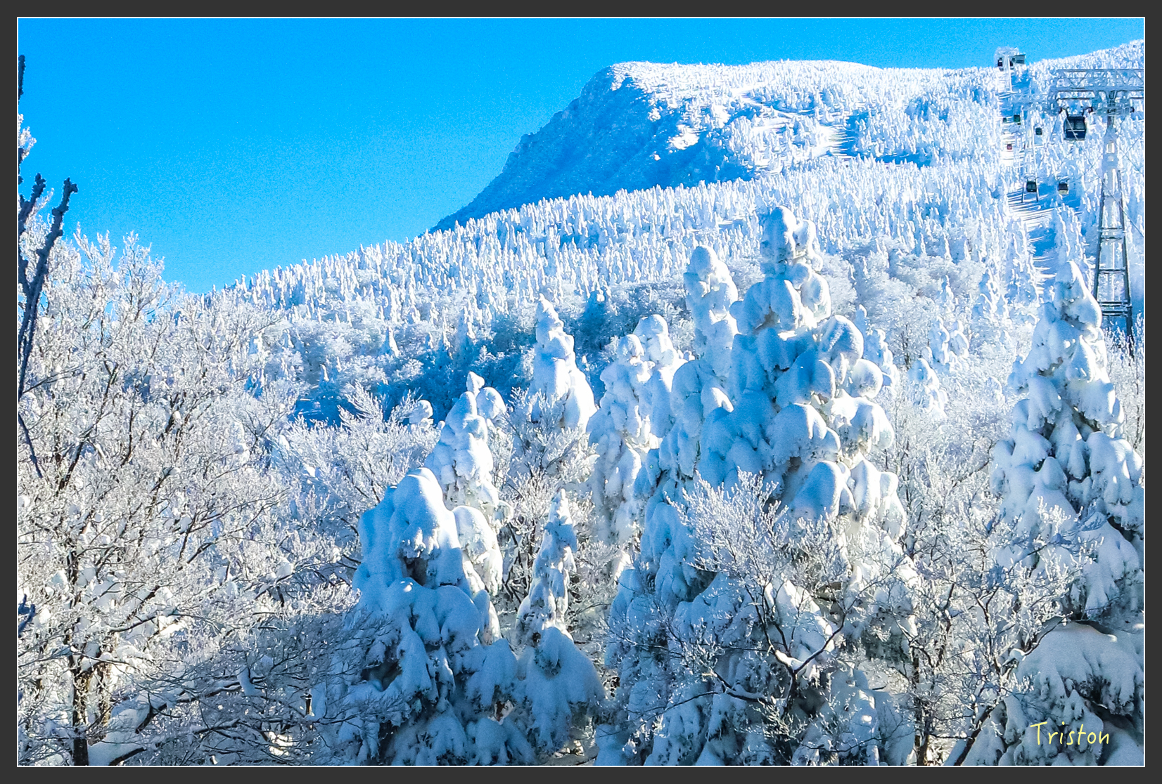 2016ZAO-01534.jpg - 20160131 日本藏王溫泉滑雪親子行